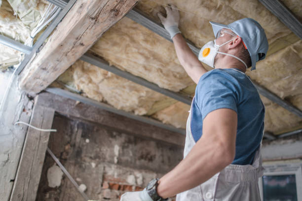 Best Spray Foam Insulation in Bridge City, LA