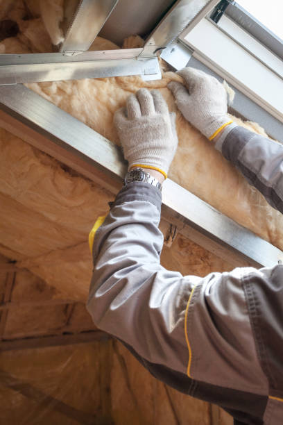 Best Geographic-Specific Insulation Services in Bridge City, LA