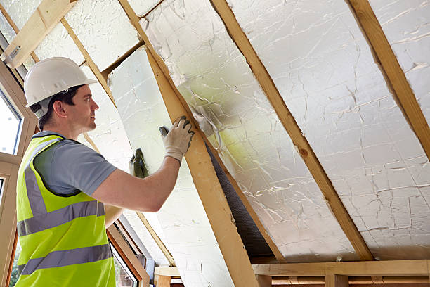 Best Commercial Insulation in Bridge City, LA