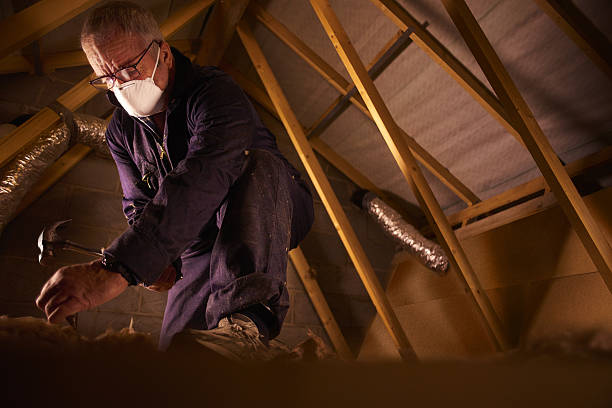 Best Residential Insulation in Bridge City, LA